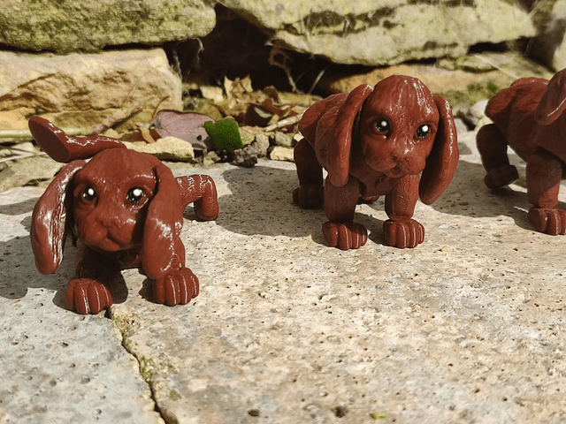 Cocker Spaniel, 3D printed cocker spaniel, articulated cocker spaniel, 3D printed dog model, poseable cocker spaniel figure, flexible dog figurine, articulated animal toy, desktop dog decoration, dog lover gift
 
