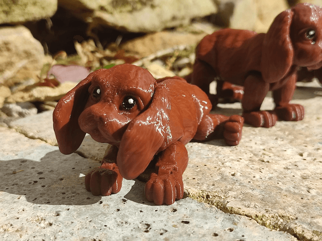 Cocker Spaniel, 3D printed cocker spaniel, articulated cocker spaniel, 3D printed dog model, poseable cocker spaniel figure, flexible dog figurine, articulated animal toy, desktop dog decoration, dog lover gift
 